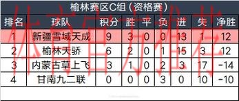【榆林赛区回顾】新疆雪域天成三战全胜晋级大区赛 【榆林赛区回顾】新疆雪域天成三战全胜晋级大区赛